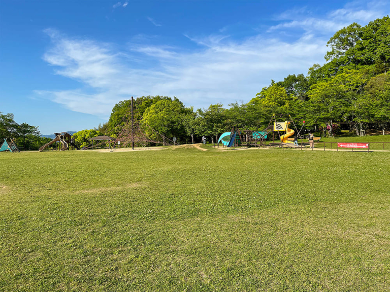 子供と遊ぶならここ!橿原市の屋外遊び場・公園特集 カシューWEB